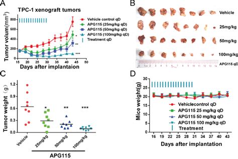 Restoration Of P53 Using The Novel Mdm2 P53 Antagonist Apg115