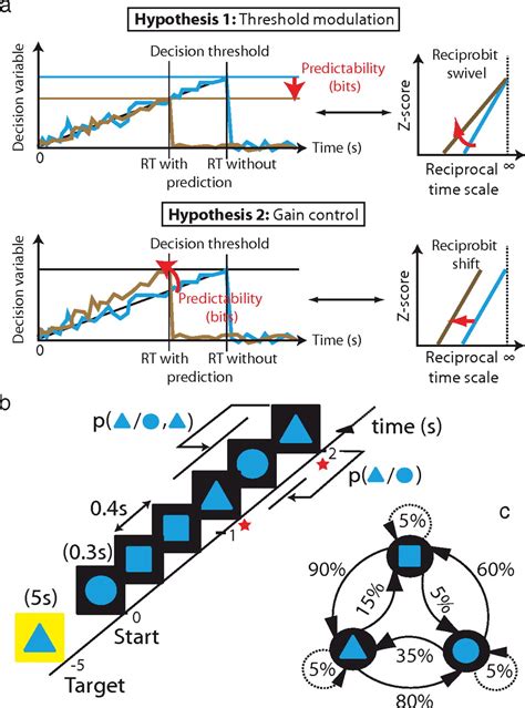 Decision Threshold Modulation In The Human Brain Journal Of Neuroscience