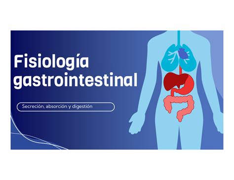 Fisiologia Gastrointestinal Fisiolog A Gastrointestinal Secreci N