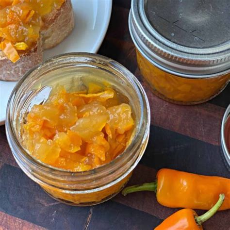 Hot Datil Pepper Jelly Recipe St Augustine Style