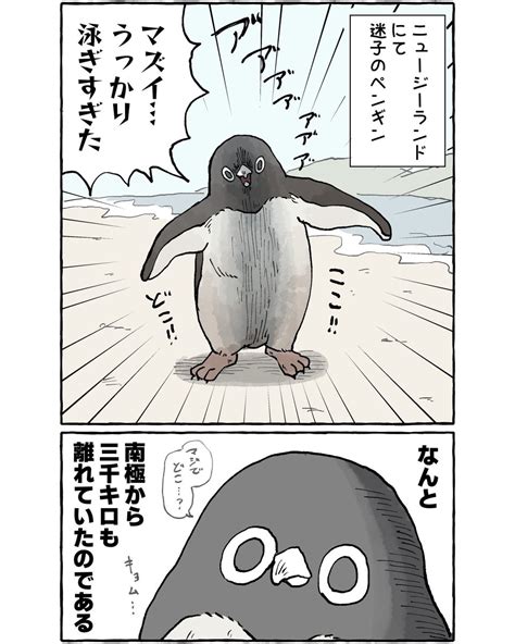 「アデリーペンギンの強者感がたまらなく好きなので描きました🐧 カモメ視点の漫画」おぞねの漫画