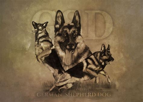 German Shepherd Dog Gsd Poster Picture Metal Print Paint By