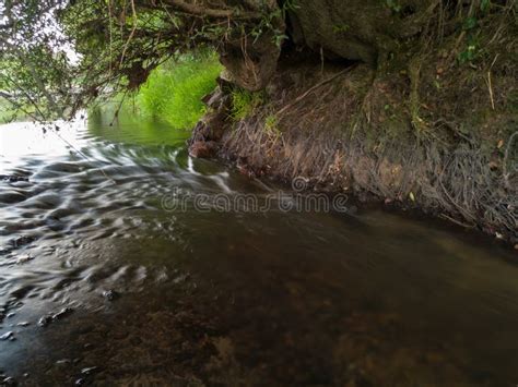 265 Fluvial Erosion Stock Photos Free Royalty Free Stock Photos