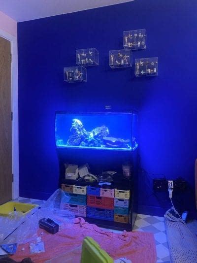 Build Thread Yes It S Another Fluval Flex G Build Reef Reef