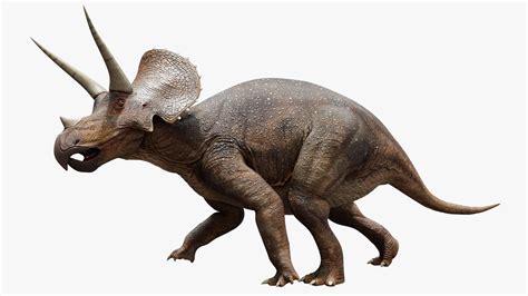 Life Reconstruction Of Triceratops Cycles Render R Blender