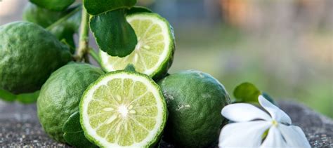 Citrus Bergamot For Healthy Cholesterol Dr Stephen Sinatra