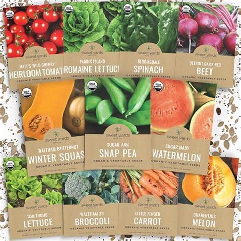 Amazon Organic Quinoa Seeds Home Garden Variety Pack Non GMO