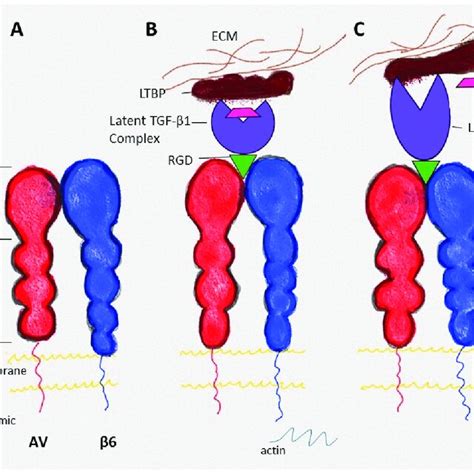 List Of Active Clinical Trials With Avb6 In Therapeutic Settings And