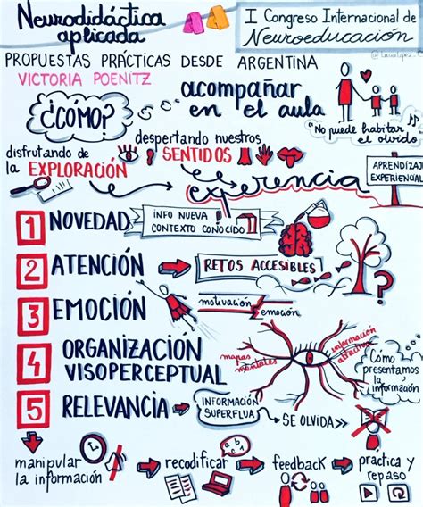 Las Diez Claves De La Neurociencia Para Mejorar El Aprendizaje