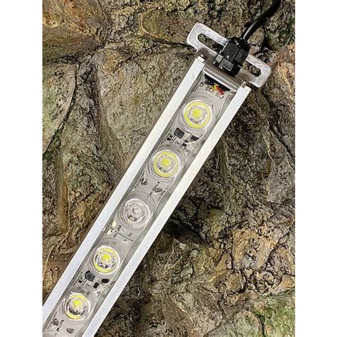 JMB Aqua Light LED Verlichting Community High Power Geheel Wit Voor