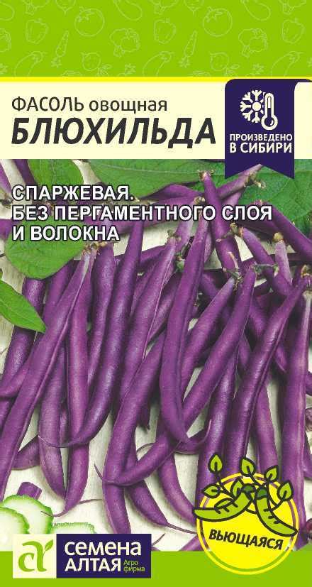 Фасоль Блюхильда: описание сорта, характеристики, агротехника посадки и ...