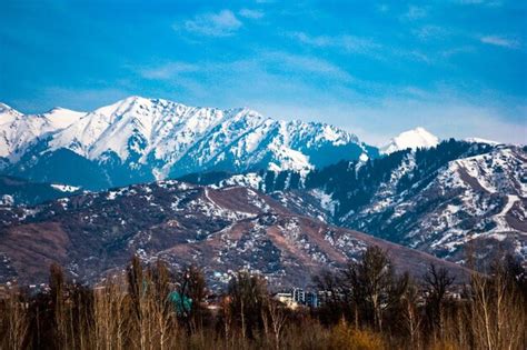 Premium Photo Mountains And Trees
