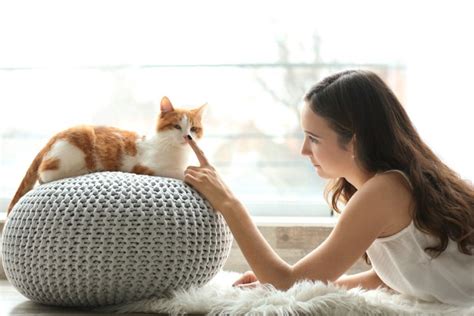 猫は『飼い主さんと他人の区別』がちゃんとできる！判別している3つのポイント ねこちゃんホンポ