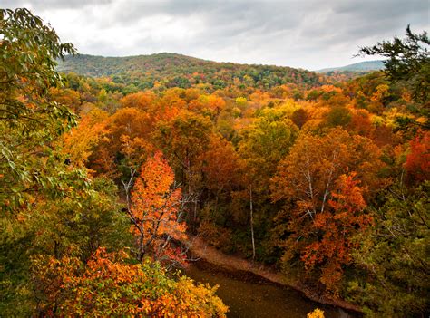 Unraveling The Magic Of Tree Fall Colors Arbor Masters