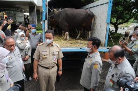 Jelang Idul Adha Kementan Siapkan Kebutuhan Pangan Di Wilayah DKI