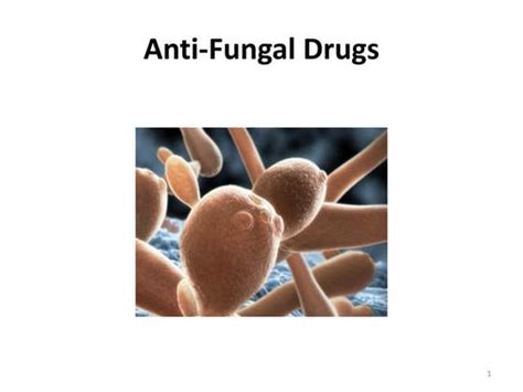 Anti Fungal Drugspptx