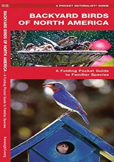 DOWNLOAD BOOK (PDF) Backyard Birds of North America: A Folding Pocket ...