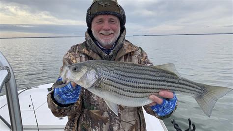 Santee Cooper Winter Striper Fishing Report Carolina Sportsman