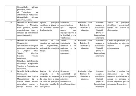 Silabo Enf Basica Parte Ii PDF