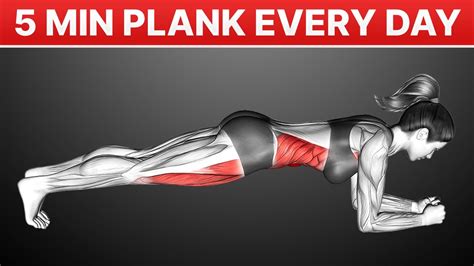 Do Plank Every Day And This Will Happen To Your Body YouTube