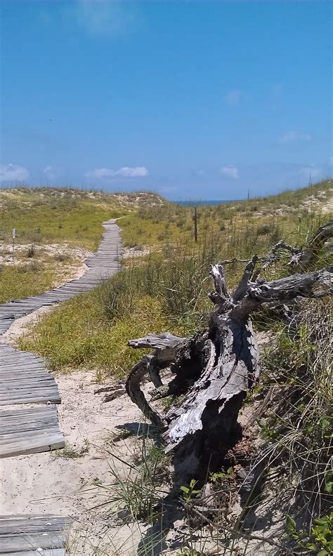 Biking Back Bay National Wildlife Refuge – Rabbit Trails