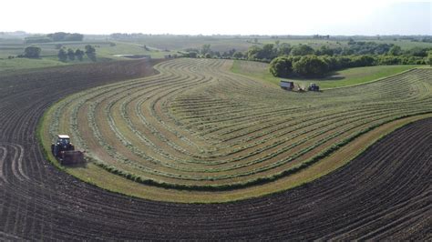 Chopping BEAUTIFUL First Crop Alfalfa YouTube