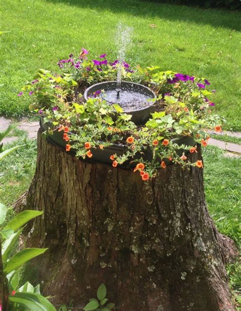 Tree Stump Ideas 19 Tree Stump Planter Tree Stump Decor Garden