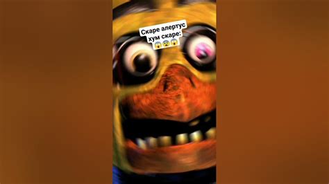 Чип чип чапа чапа... - YouTube