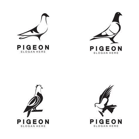 Pigeon Bird Logo Vector Icon Illustration Design Template 2496014