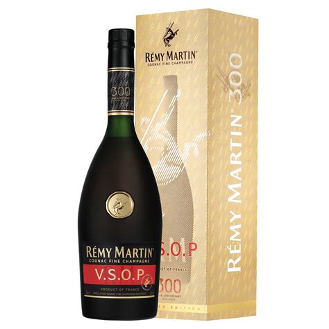 remy martin net worth 1