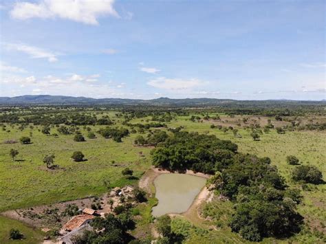 Fazenda Sítio 40000 m² em Zona Rural em Araguapaz por R 6 000 000