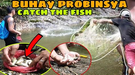 Catch The Fish In River Gamit Ang Pukot At Laya Buhay Probinsya