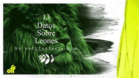 13 Datos Sorprendentes Sobre Leones YouTube