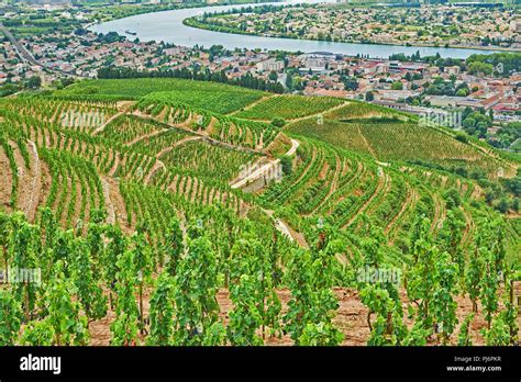 Rhone Valley France Vineyard Hi Res Stock Photography And Images Alamy