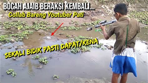 Nembak Ikan Pakai Senapan Paser Ikan Paralon Dan Ketapel Ikan Slingshot