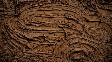 500 Mud Pictures Hd Download Free Images On Unsplash