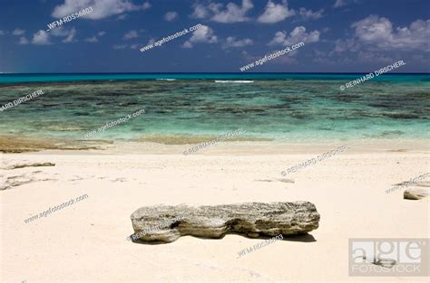 Beach And Lagoon Of Bikini Bikini Atoll Micronesia Pacific Ocean
