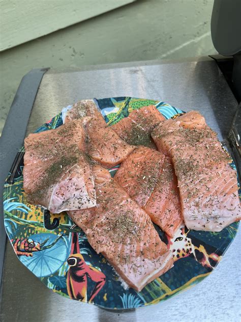How to Cook Salmon on Your Gas Grill – Bay Area Telegraph