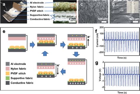 Working Mechanism And Triboelectric Output Performances Of The PVDF