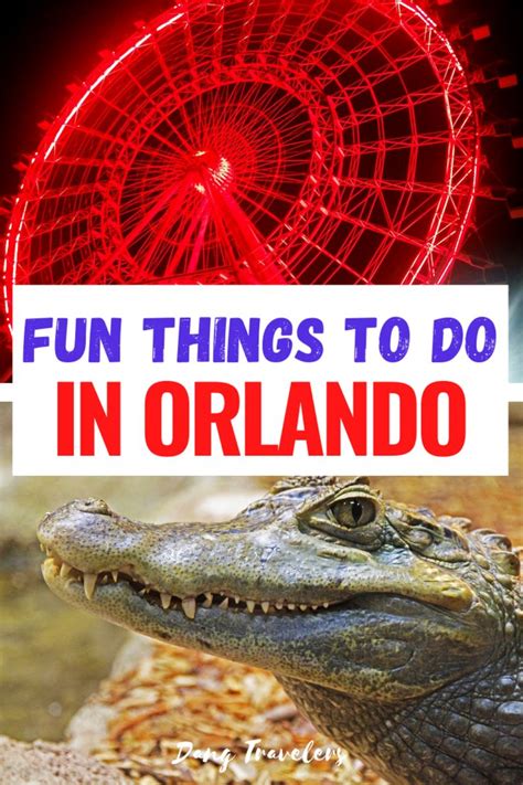 The Coolest Things To Do In Orlando Besides Theme Parks Dang