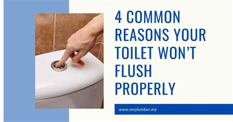 4 Reasons Your Toilet Wont Flush Properly Mrplumber