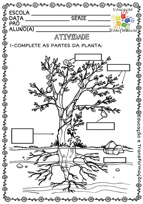 Atividade Para Trabalhar As Partes De Uma Planta E As Suas Fun Es