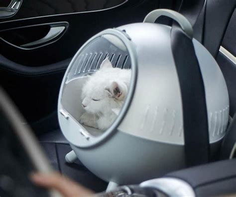 Comment Attacher Une Caisse De Transport Pour Chat En Voiture Jm Auto