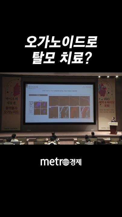 오가노이드로 탈모 치료 피부 오가노이드 배양법 확립 Youtube