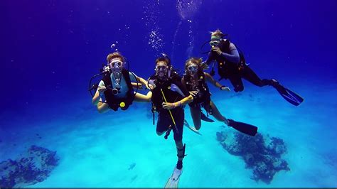 Scuba Diving In Cozumel Mexico 2019 Gopro Sharks Turtles Eels