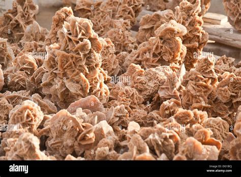 Desert Rose. Sahara Desert. Tunisia. Africa Stock Photo - Alamy