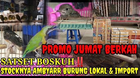 UPDATE STOCK JUM AT BERKAH BELI ECER HRG GROSIR 0838 7553 6945 YouTube