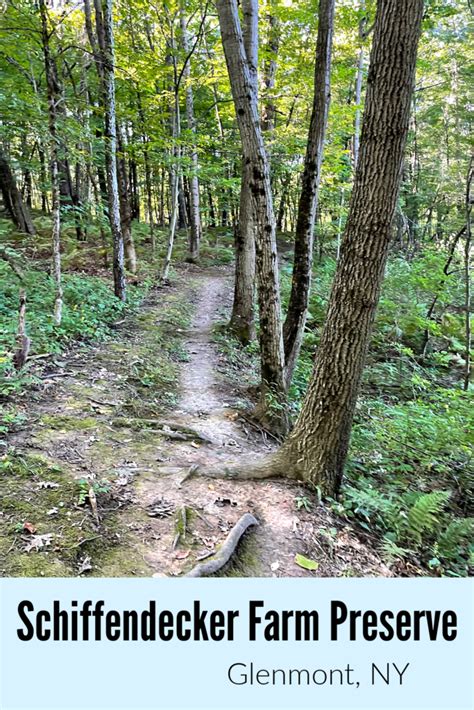 Schiffendecker Farm Preserve Glenmont NY A Nation Of Moms