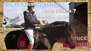 Comment Bien Tenir Ses R Nes Cheval Doovi