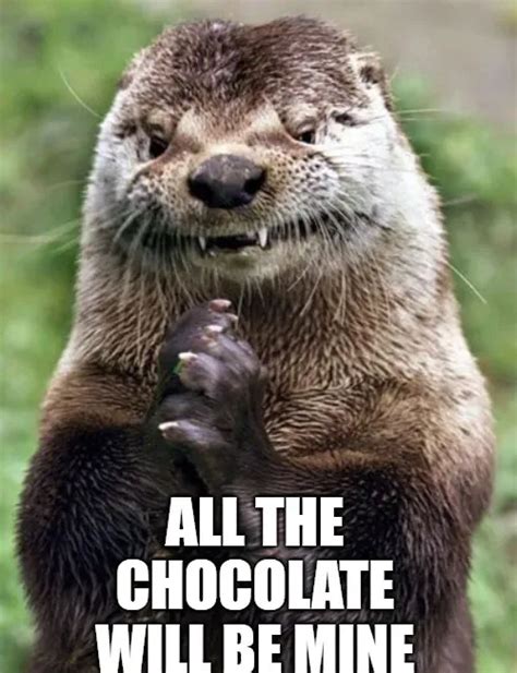 Evil Otter Memes - Piñata Farms - The best meme generator and meme maker for video & image memes